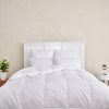 Cuddle Down Lakeside Summer Weight Cabin Duvet 100% GOTS Certified Organic Cotton Shell 650+ Loft 300TC 28Ounce Fill  – KING