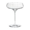 Georg Jensen Bernadotte 2-Piece Cocktail Coupe Glass Set
