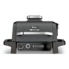 Ninja® Woodfire Outdoor Grill, 7-in-1 Master Grill, BBQ Smoker, & Outdoor Air Fryer